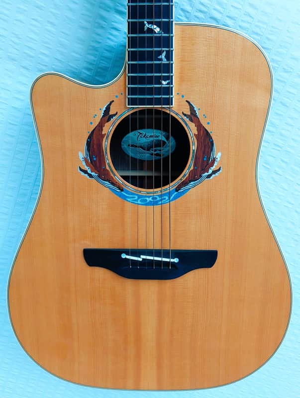 Lefty Left Handed Takamine LTD Whales Limited Edition 2002 Natural - Ultra Rare Save the Whales image 1