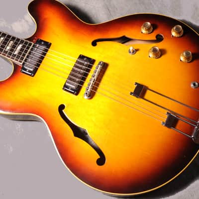 Immagine Epiphone Riviera E 360 TD 1967 - Sunburst - 10