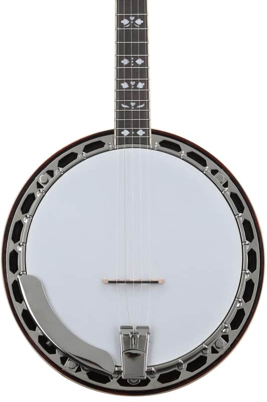 Recording King Songster Resonator Banjo - Dark Brown image 1
