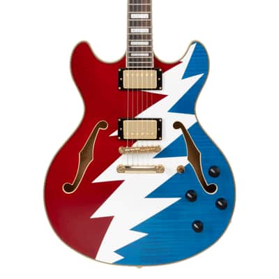 D'Angelico Limited Edition Premier Grateful Dead DC Semi-Hollow Electric Guitar image 7