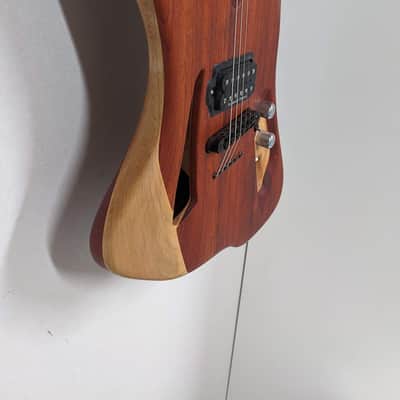 SomethingAwesome. Semi-hollow - Natural image 2