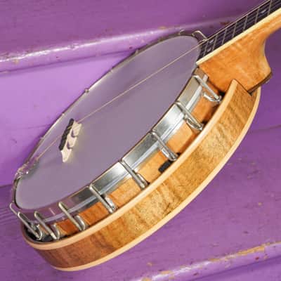 1925 Weymann Style 150 Resonator 5-String Banjo (VIDEO! Fresh Work, Ready) image 15