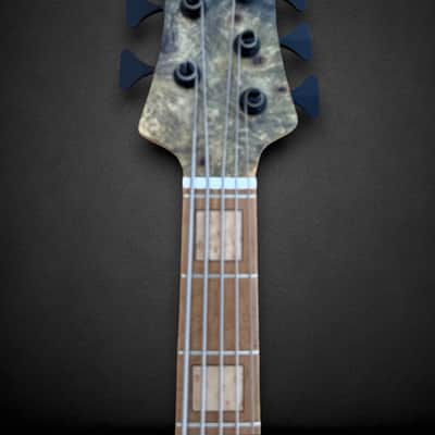 Elrick EVO Gold 5 String Buckeye Burl 2024 - Natural image 5