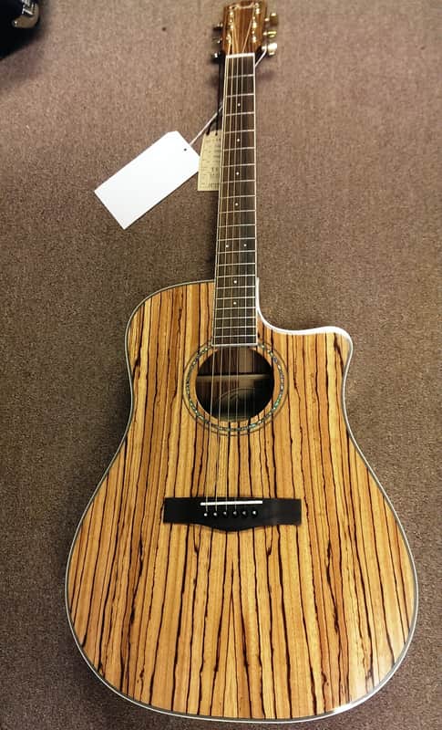 Fender CD-220CE All Zebrano 6-string Acoustic-Electric Guitar, Mahogany, Fishman image 1