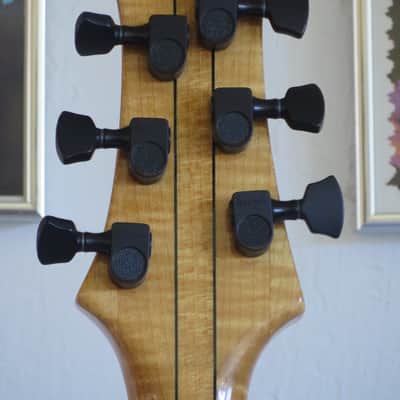 Lashbrook Handmade Custom Guitar Inspired by Jerry Garcia's Cripe Guitars with Naturacoustic Pickup image 8