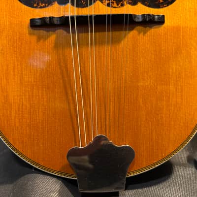 Washburn Bowlback Mandolin Stlye 215 - Brazilian Rosewood - Great Player -Org. Case - Clean! - Ships FREE!!! image 3