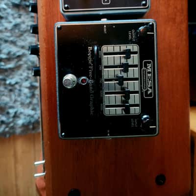 Mesa/Boogie Mark IIB (Original Amp) Mahogany Custom-Made Head & Cabinet – Mesa Footswitch, EV Black Shadow Speaker image 2