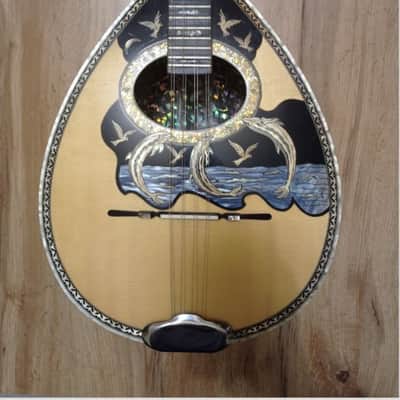 GREEK BOUZOUKI & HARDCASE & PICKUP & 300 BACKING TRACK WITH PDF SCORES 8 STRING 2020 - POLISHED image 2