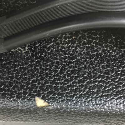 Peavey Ecoustic e20 image 11