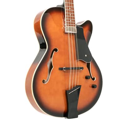 Gold Tone Acoustic Electric Mandocello, Mandolin Cello Hybrid Instrument w/Case image 8