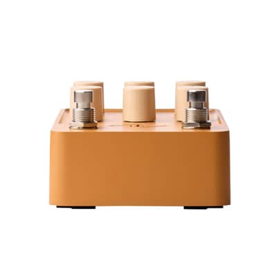 Universal Audio Enigmatic '82 Overdrive Special Amp 2024 - Present - Gold image 3