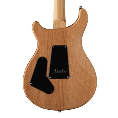 PRS SE "Exotic" Custom 24 Swamp Ash Burl Electric Guitar - Lake Blue image 7