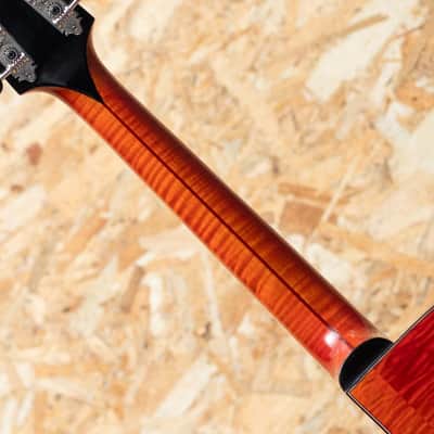 Quint Archtop Octave Mandolin Maple Short Scale Cutaway CS image 7