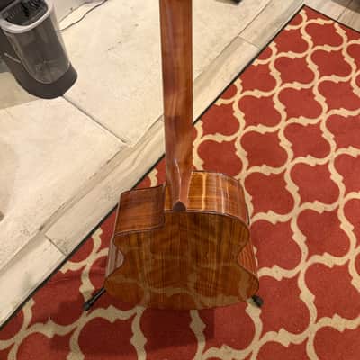 Washburn BTS9VCECH-D Bella Tono Vite S9V - Acoustic Electric (USED) image 10