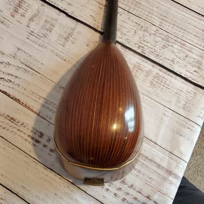 Vintage Favilla Brothers Bowl Back Mandolin circa 1912 w/original case image 10