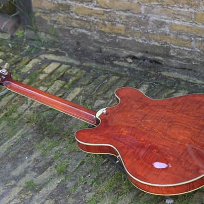 Eastman T486B - Classic image 9