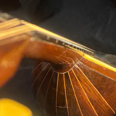 American conservatory Lyon & Healy Bowl Back mandolin - Early 1900s  - Brazilian Rosewood - All Org. - Great Player - Ships FREE!!! image 19