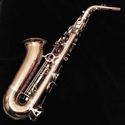 Yanagisawa Alto Saxophone AW020 Bronze Model Bronze image 3