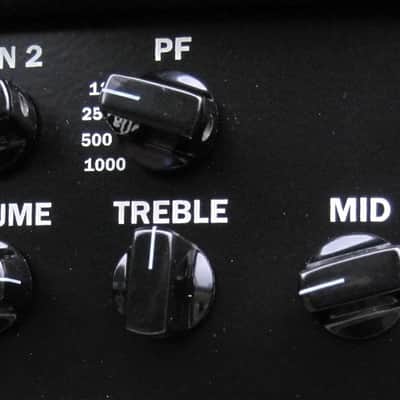 Luker Chameleon reverb 20 Tube Head image 3