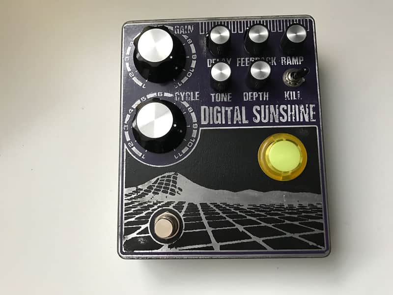 Custom Digital Sushine Reverb / take on Ty Segall's Death By Audio Sunshine Reverberation DBA image 1