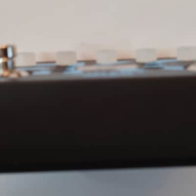 Hotone Eko Stereo Delay - Mint. 10 presets. 17 Delay types. image 5