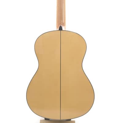 Alhambra GS Flamenco Guitar 2025 image 12