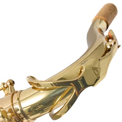 Antigua Winds TS3108LQ Intermediate Tenor Saxophone in Lacquer SN UTS040036 image 20
