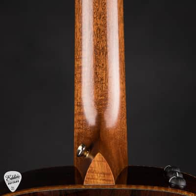 Taylor Custom TF Lutz Spruce & Brazilian Rosewood 2020 image 10
