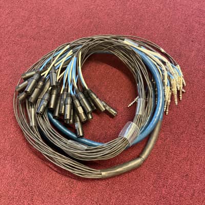 Whirlwind 24 Channel XLR-TRS Snake - Blue image 1