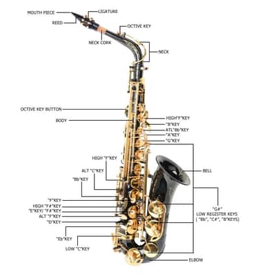 Black & Gold Alto Eb Saxophone Brass Alto Sax with Case, Tuner, Strap, Cleaning Kit & Accessories image 4