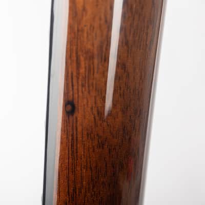 Gibson Les Paul Standard 60s Mahogany Top, Dark Walnut | Demo image 19