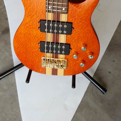 Copley 5 String Bass image 4