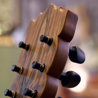 Artimúsica Traditional Luthier 10 String "Viola de Arame" Madeira image 5