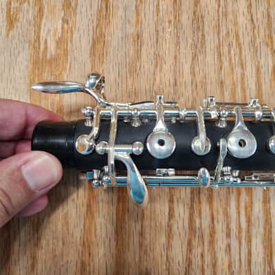 Jupiter JOB 1000 OBOE 2 YEARS OLD image 10