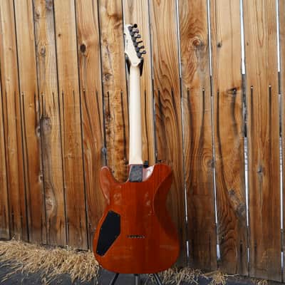 ESP USA TE-II - Koa Natural 6-String Electric Guitar (#20/25 Made) image 3