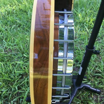 1970s Fender Artist 5-string Banjo image 11