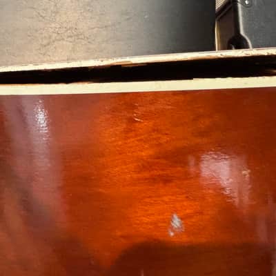 Stella Vintage Harmony And Vintage Case image 19