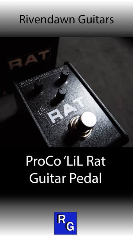 ProCo Lil Rat