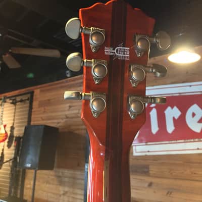 Washburn Custom Shop image 7