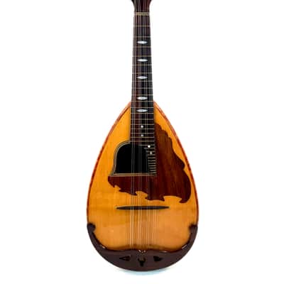 Concert Mandolin E. De Cristofaro 1930's image 12