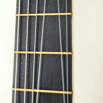 Rare Esteban Spanish Rosas Classical Guitar Character Flowers image 11