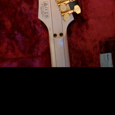 Ibanez PIA3761 Onyx Black Steve Vai Signature image 5