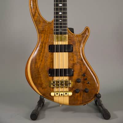 Alembic Rogue Usato image 6