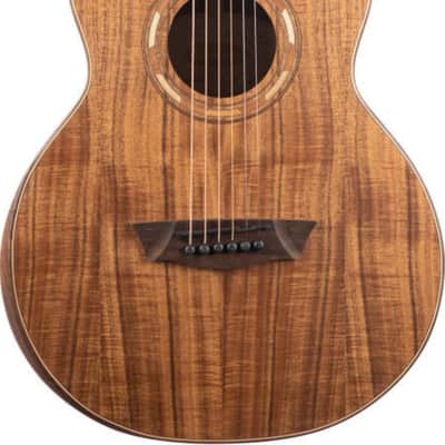 Washburn GM55 Koa Grand Auditorium Acoustic Guitar, Koa Top image 2