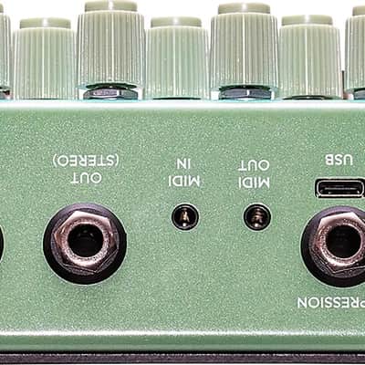 Old Blood Noise Endeavors Bathing Liminal Delay Effects Pedal, Algae image 3