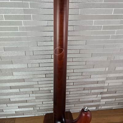 Spector Euro 4 RST - Sienna Stain image 20