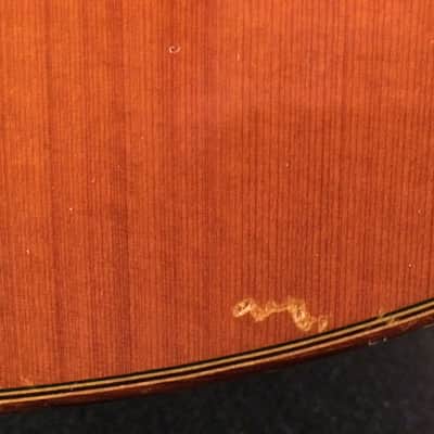 Evelio Dominguez Classical Guitar #978 1985 image 12