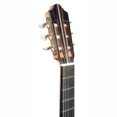Kremona  100TH ANNIVERSARY CEDAR | All-Solid Hand Crafted Classical Guitar. New with Full Warranty! image 4