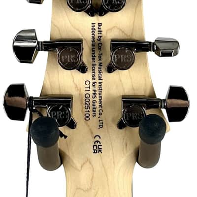 PRS CE 24 LTD Sandblasted Carved Swamp Ash Electric Sandblasted White Ser#: CTIG025100 image 8