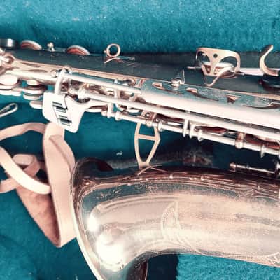 Artist Alto Sax Artist image 15